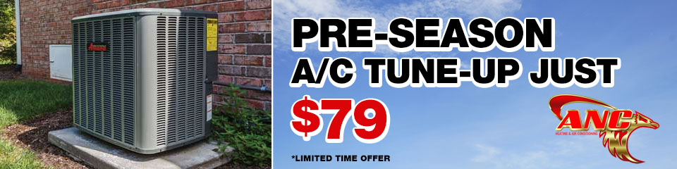 AC Tune-up Special