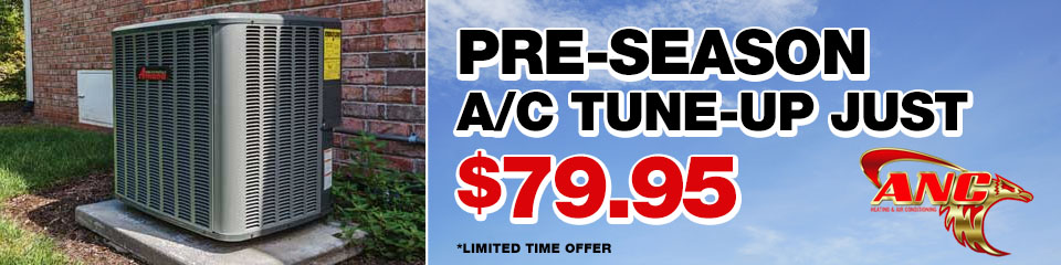 AC Tune-up Special